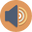 Vintage Audio Store logo